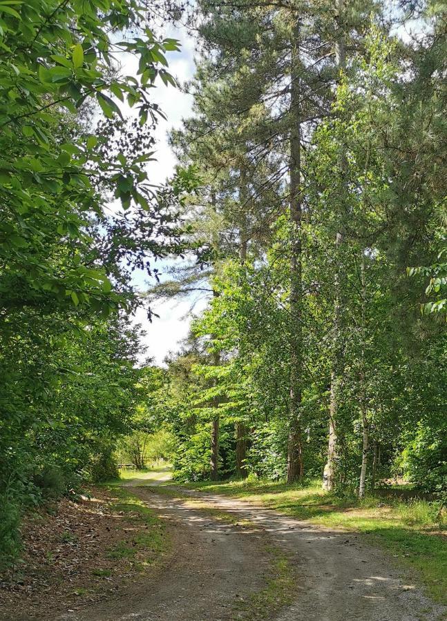 Camping De La Chagnee Saint-Aubin-le-Cloud Exteriör bild