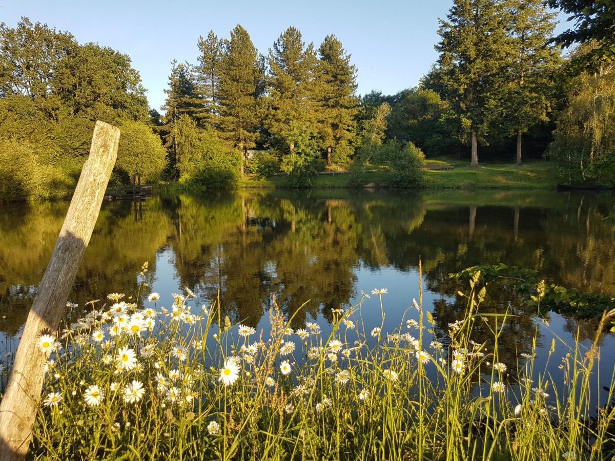 Camping De La Chagnee Saint-Aubin-le-Cloud Exteriör bild